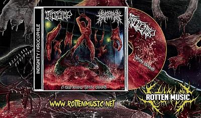 Split INDIGNITY / KROCOPHILE “A Cold Blooded Torture Chamber” pod szyldem Rotten Mucic