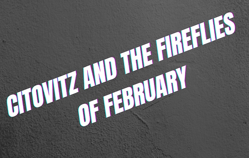 ANDRZEJ CITOVITZ AND THE FIREFLIES OF FEBRUARY – Interview with Andrzej Citowicz, guitarist & composer