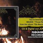WAXEN "Those Reviled" Teaser Video