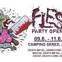FLESH PARTY OPEN AIR 2023
